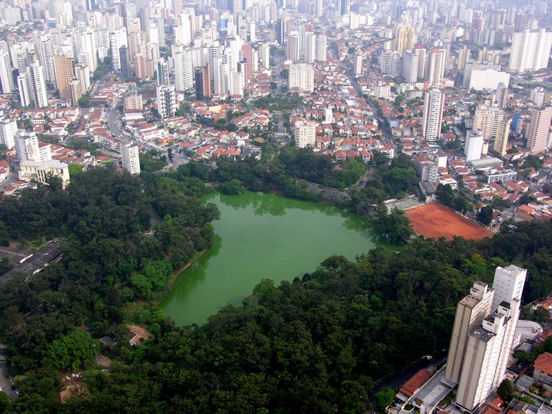 Resultado de imagem para aclimacao sp