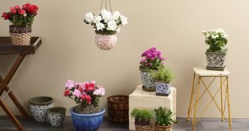 DIY: Como fazer cachepô para as suas plantas plantas