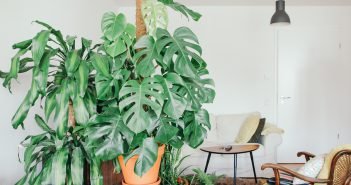 Como usar a madeira para decorar sua casa segundo o Feng Shui madeira para decorar