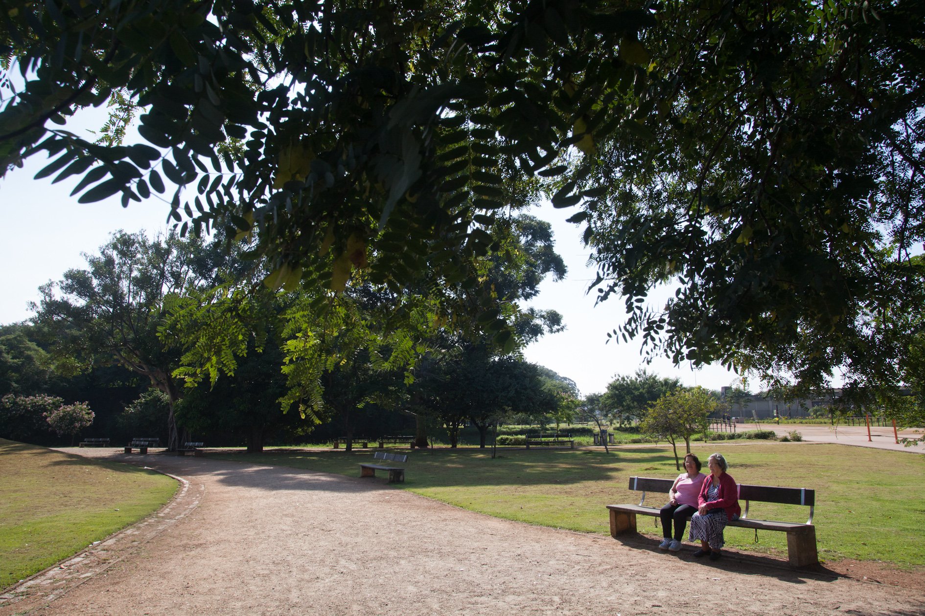 Parque da Juventude