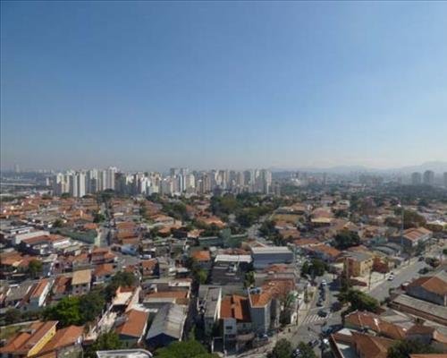 cercas concertina no alto da lapa