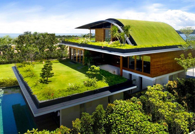 telhados verdes