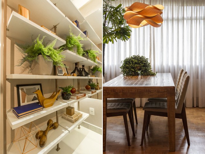 plantas como detalhes na decoração