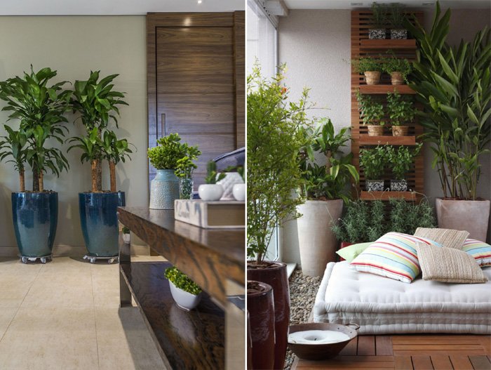 Como usar e abusar dos vasos de plantas na decoração da casa