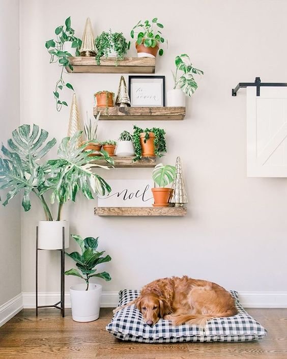 Saiba como decorar a sua casa com o orçamento baixo