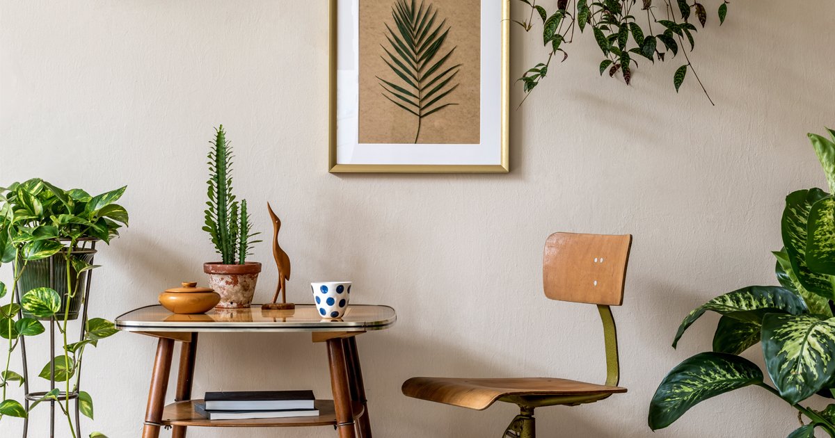 decoração de sala de estar com vasos de plantas