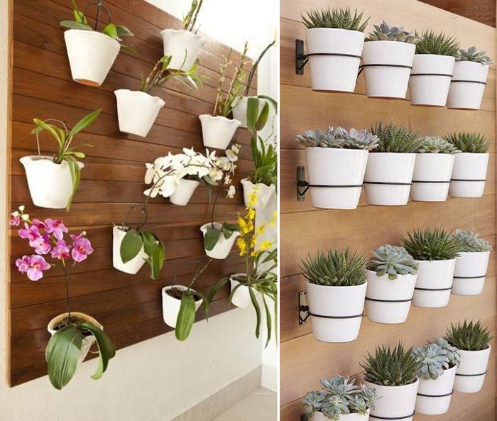 Vaso de parede: decorações com plantas para o apartamento